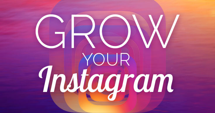 Professionally manage and grow your Instagram