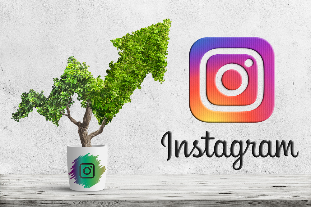 Manage,grow & advertising for your instagram account